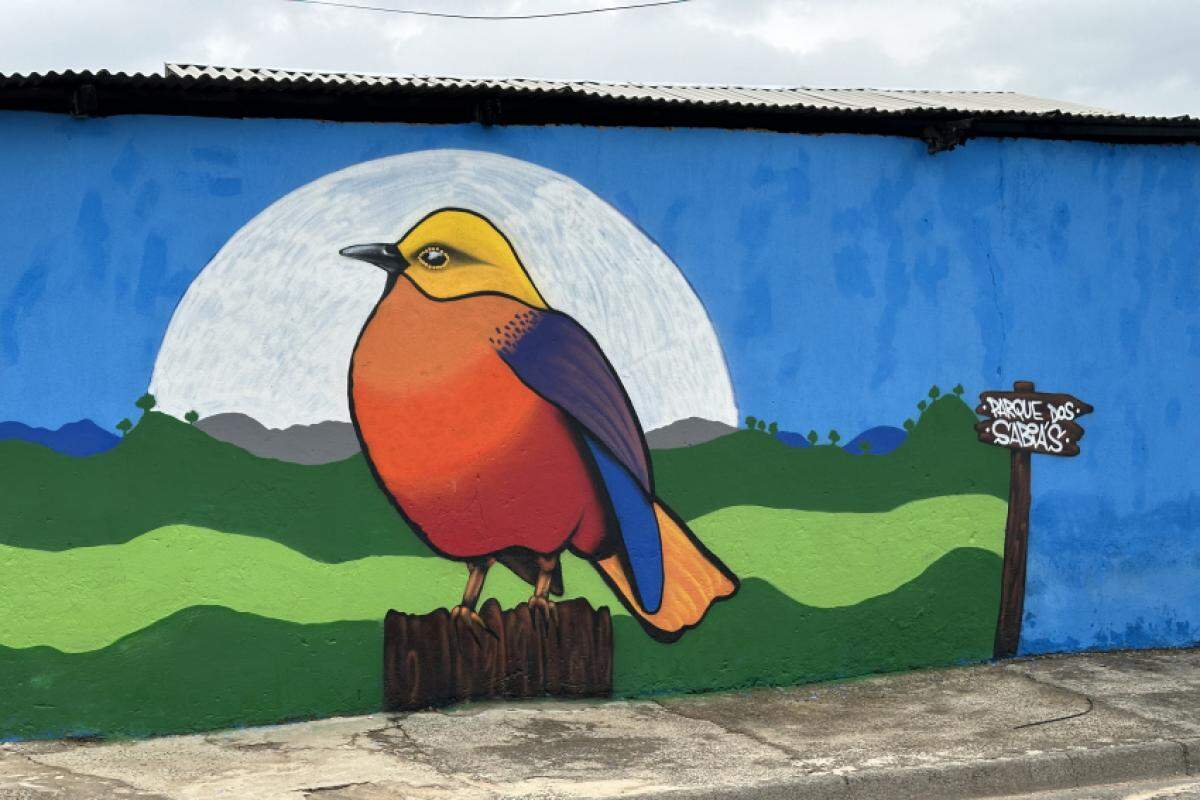 Curso 'Grafite: Intervenções Urbanas' é oferecido pela Prefeitura de Piracicaba