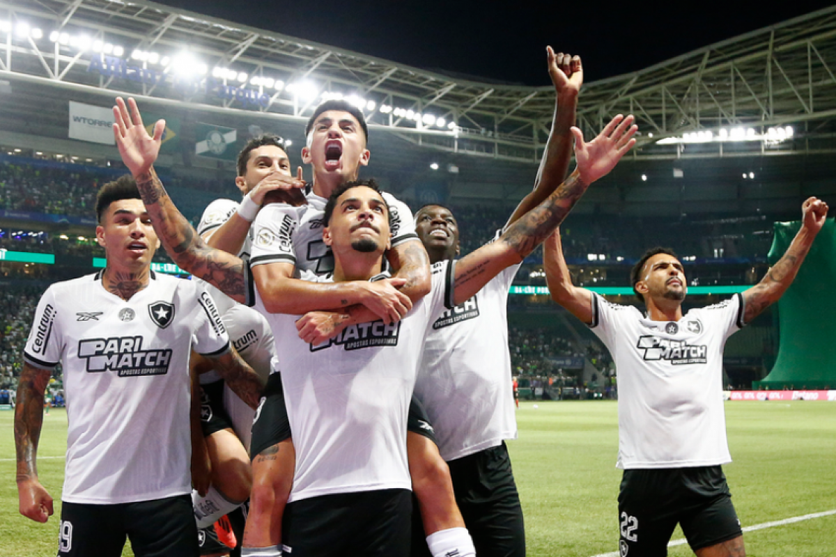 Botafogo vence o Palmeiras reassume a liderança e pode ser campeão na próxima rodada