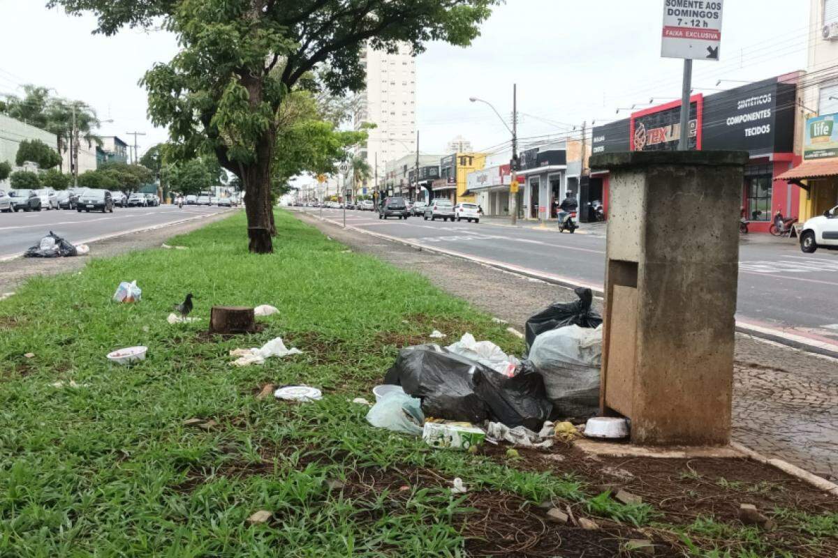 Lixo descartado irregularmente em canteiro da avenida Presidente Vargas, em Franca