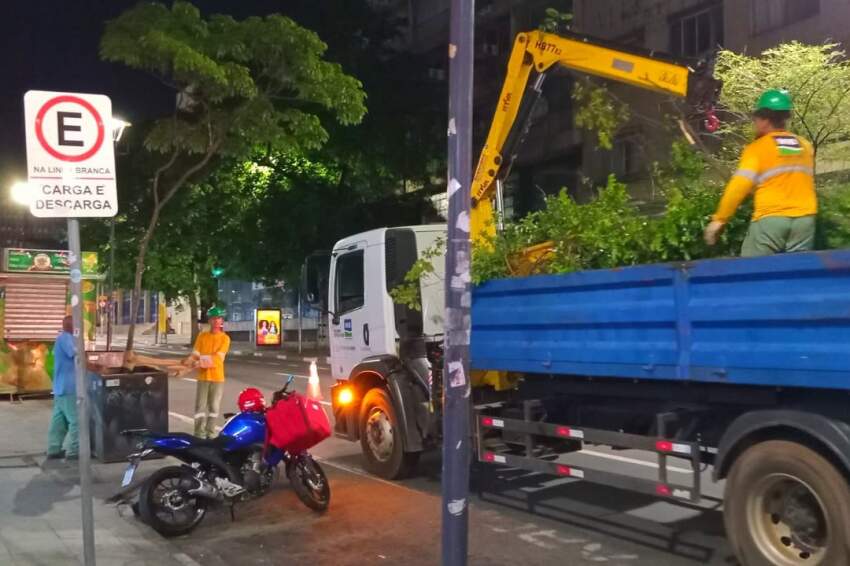 Uma equipe de 10 profissionais da Secretaria de Serviços Públicos está mobilizada para a implantação do paisagismo. 