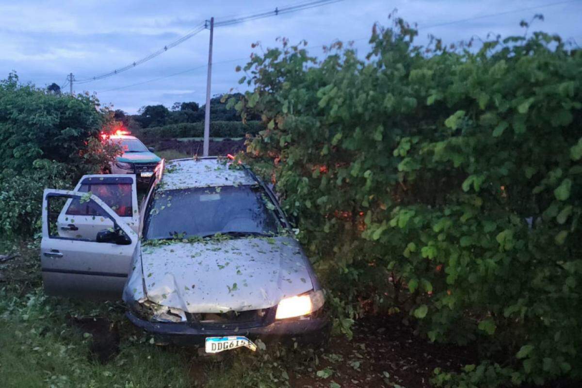 Carro foi parar no meio do cafezal