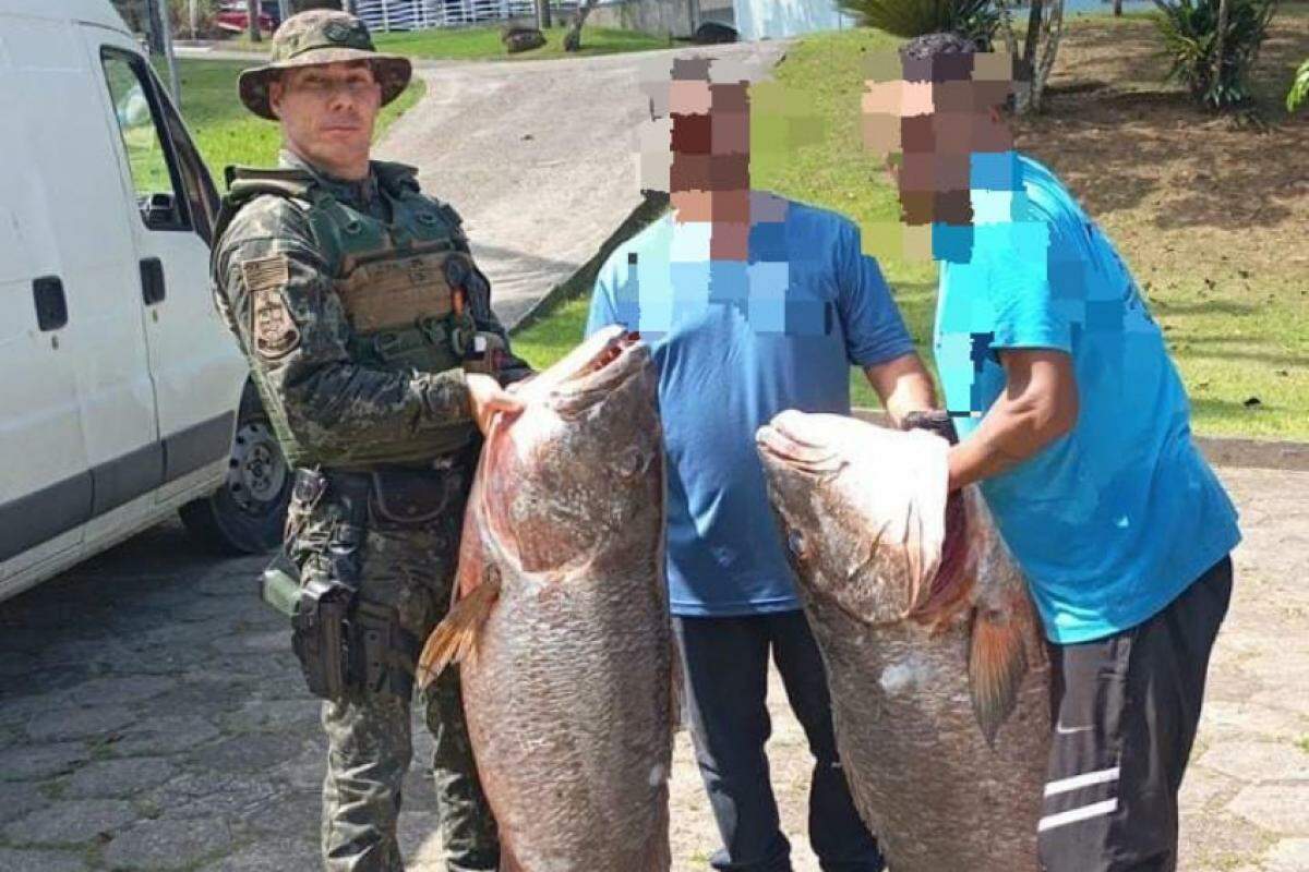 Peixes que foram pegos pela Polícia Ambiental