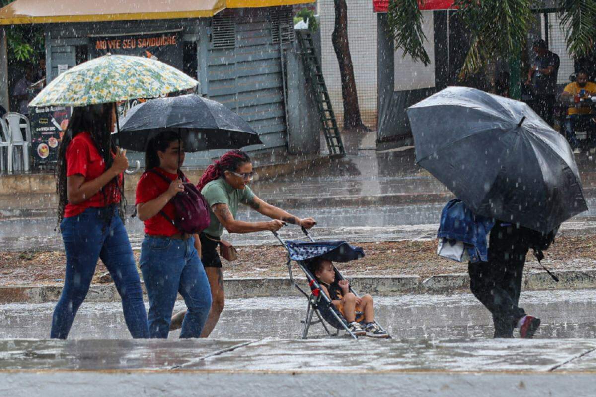 Chuvas mais leves também devem ocorrer no norte do estado de SP.