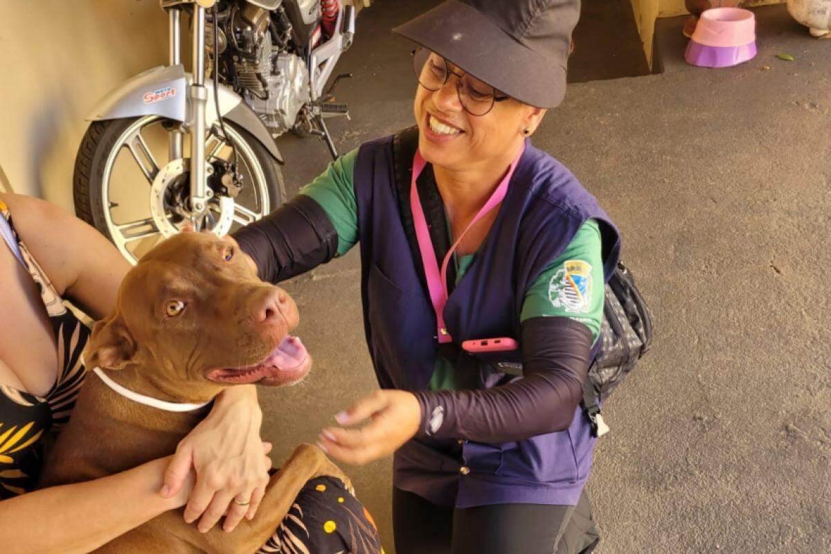 Os tutores de animais são orientados a levar o comprovante de endereço para o cadastramento do animal