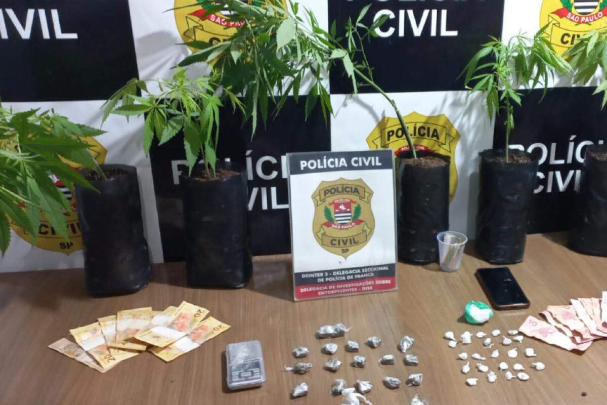 Polícia Civil encontra entorpecentes, celulares, dinheiro e pés de maconha durante operação no Jardim Palma, em Franca