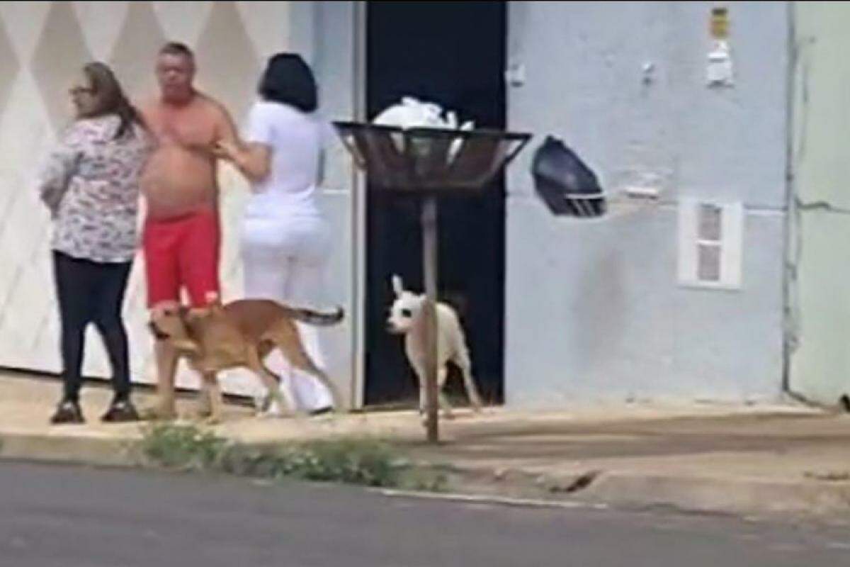 Cães que atacaram moradores no Jardim Alvorada foram recolhidos ao Canil Municipal para castração e ressocialização