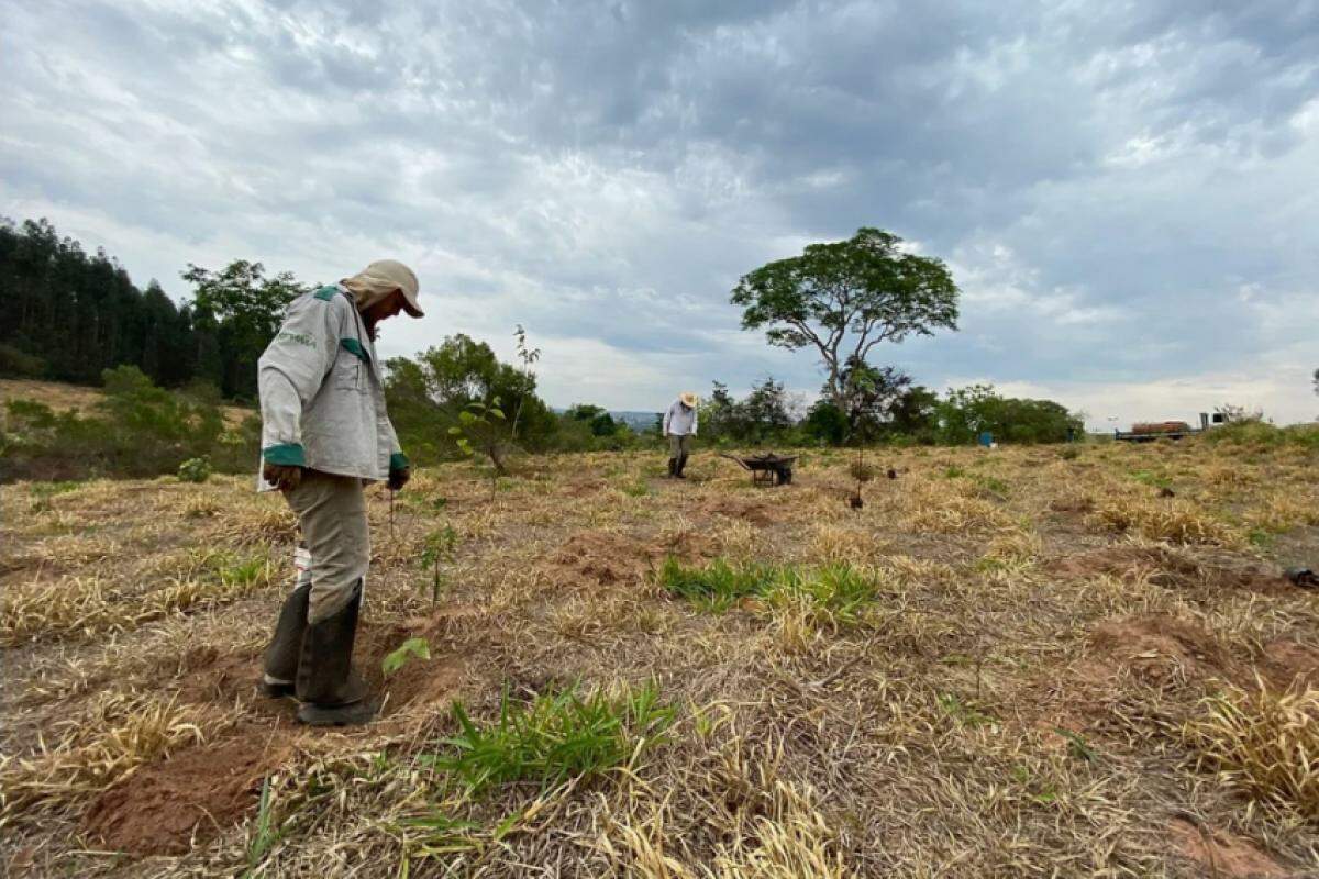 Equipe em ação no projeto De Volta para Casa, dentro do qual realizará o corredor ecológico