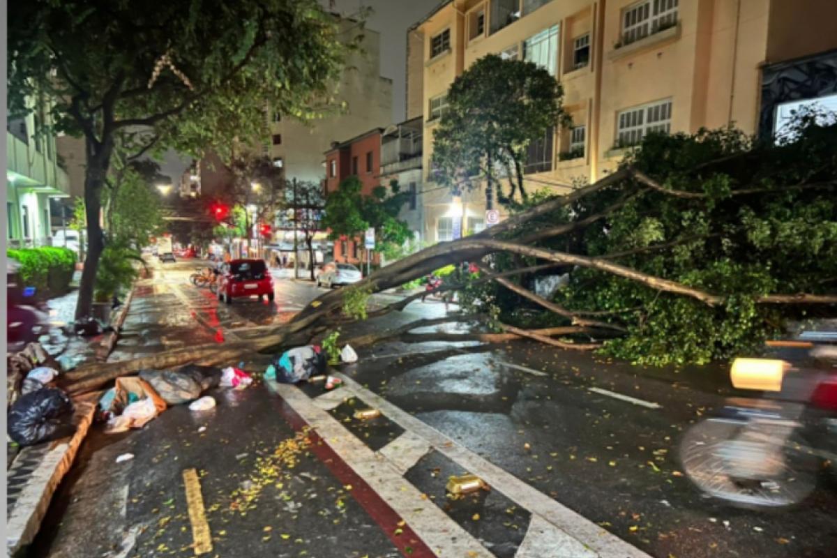 Chuva causa estragos na capital paulista