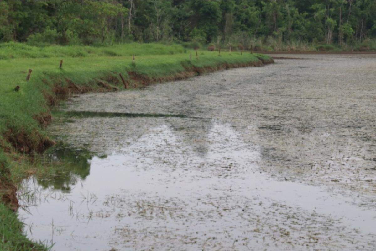 Lagoa de captação atingiu o nível crítico de 1,55 metro na tarde deste domingo (1)