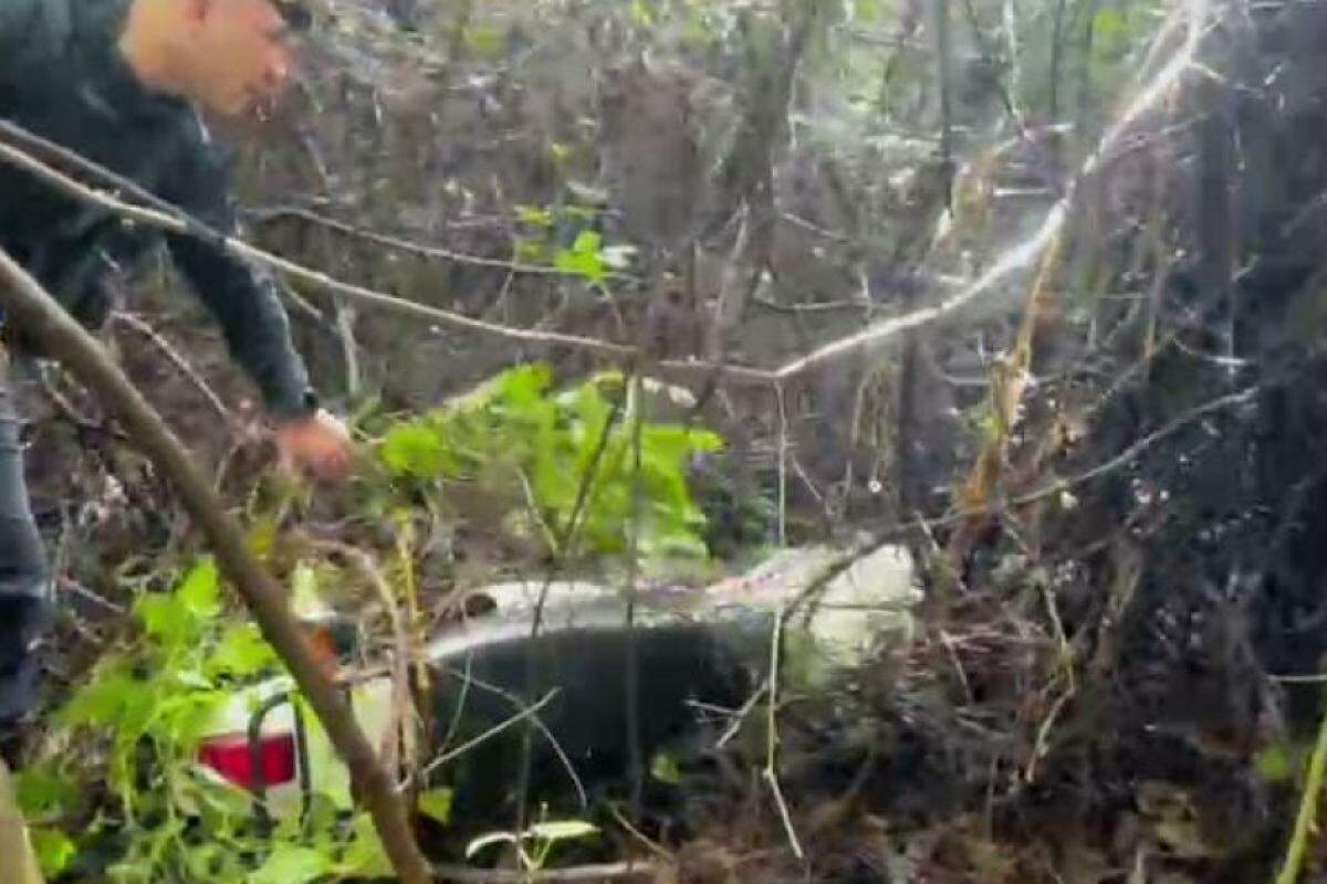 Moto furtada é encontrada em área de mata no Jardim Novo Horizonte.