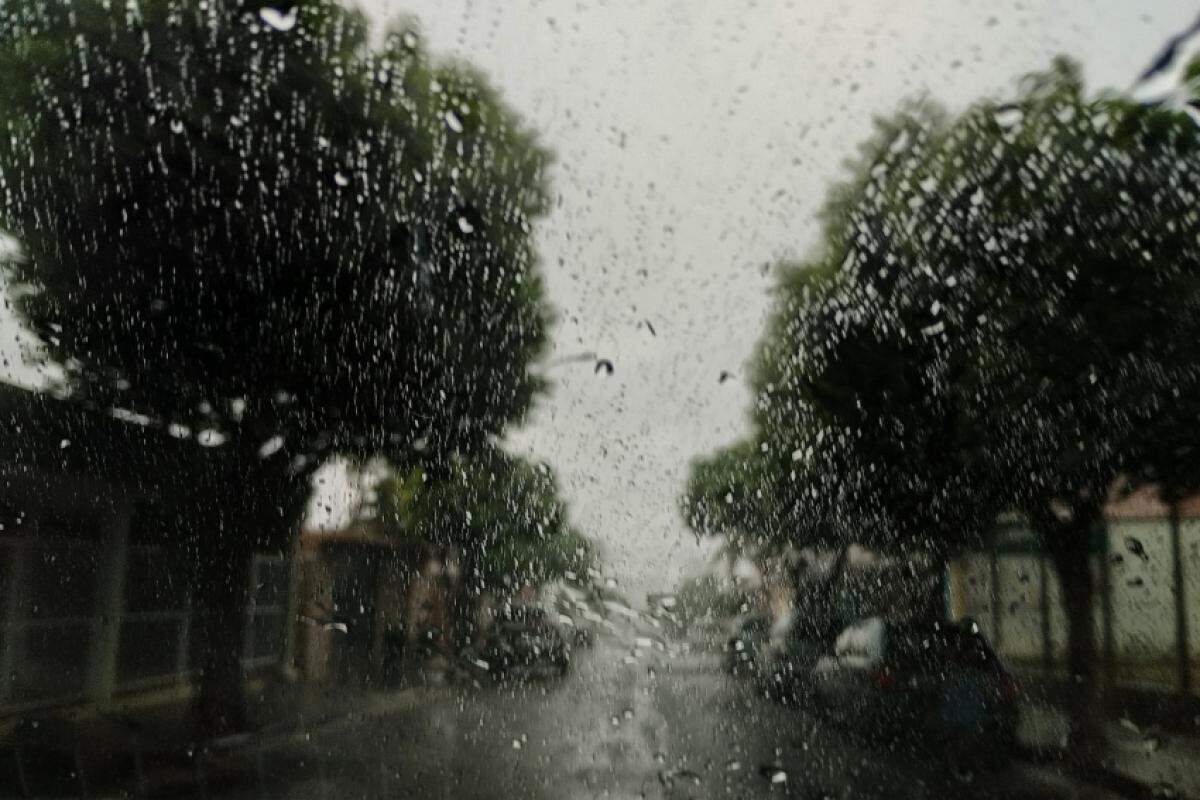 Durante a chuva, não se abrigue sob árvores, orienta a Defesa Civil