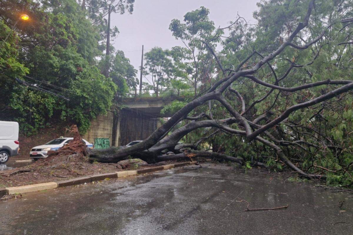 Chuvas causaram problemas em Campinas 