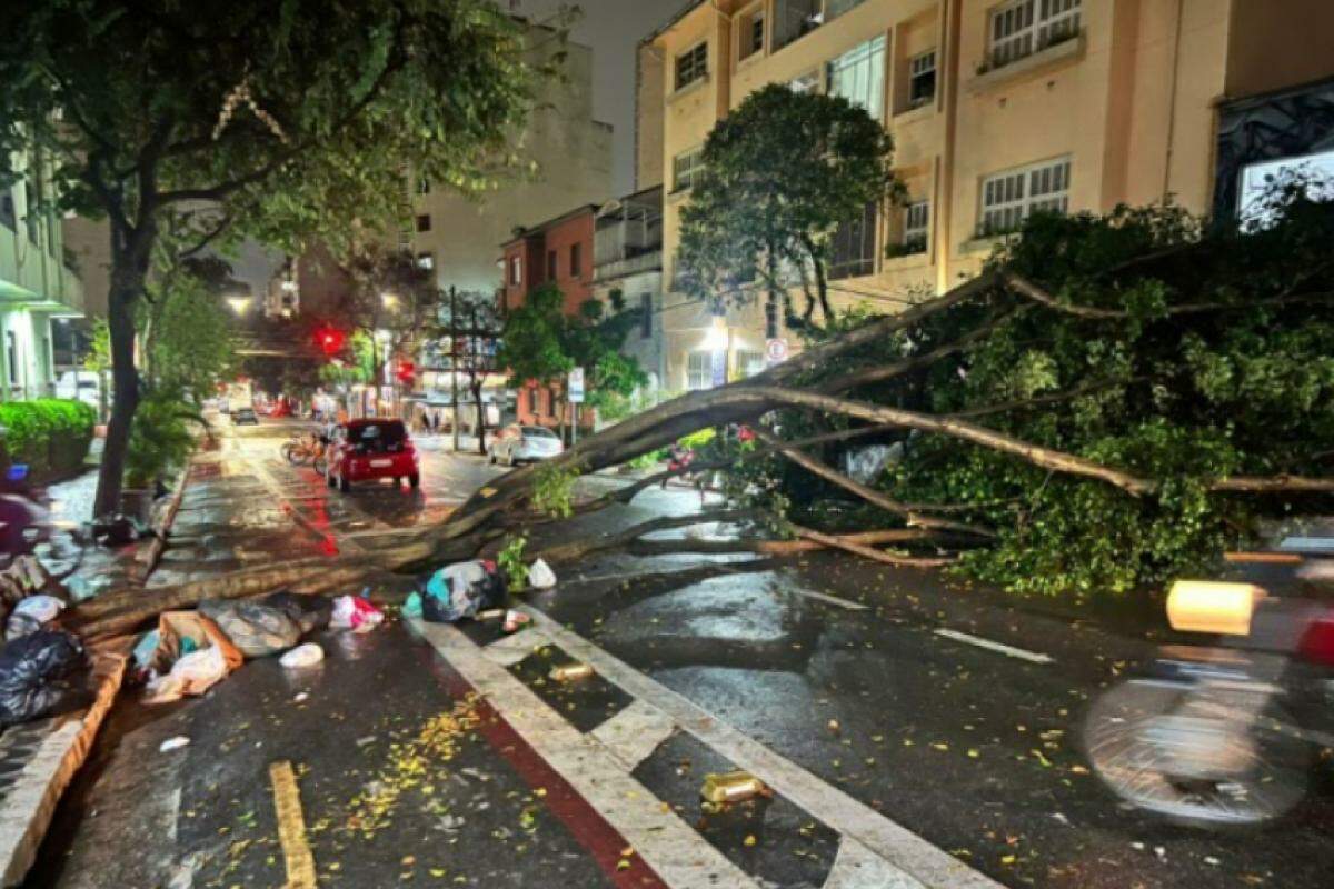 Chuvas volumosas e temporais vão marcar os próximos dias, segundo o Climatempo