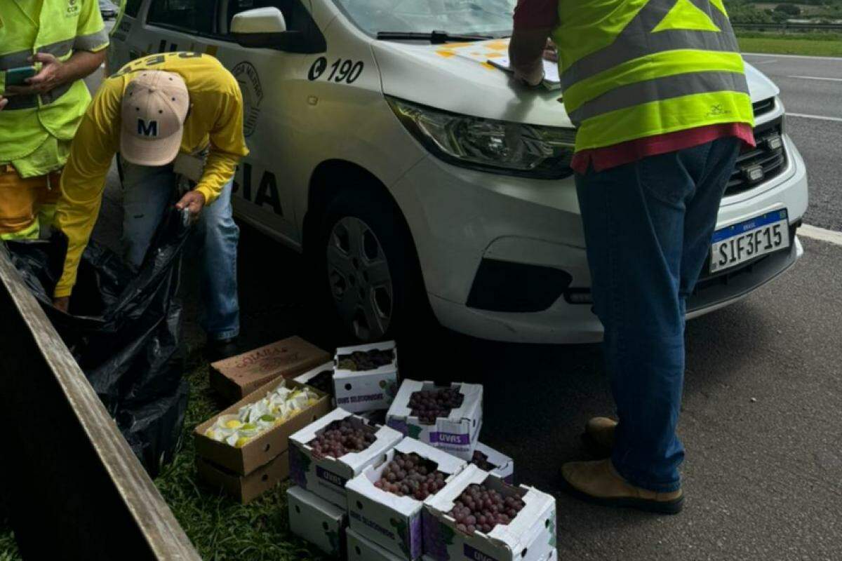 As frutas foram apreendidas e doadas