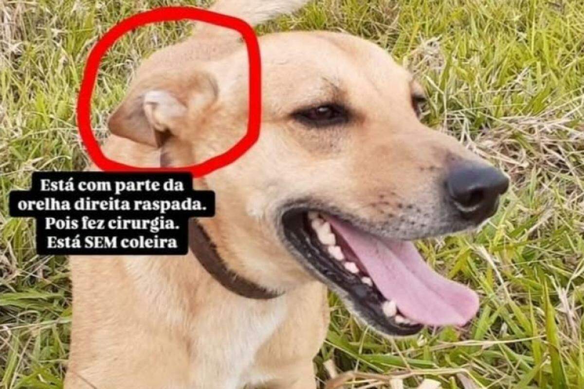 Imagem Notícia