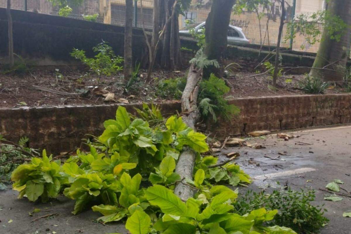 Parque será reaberto neste domingo, 5