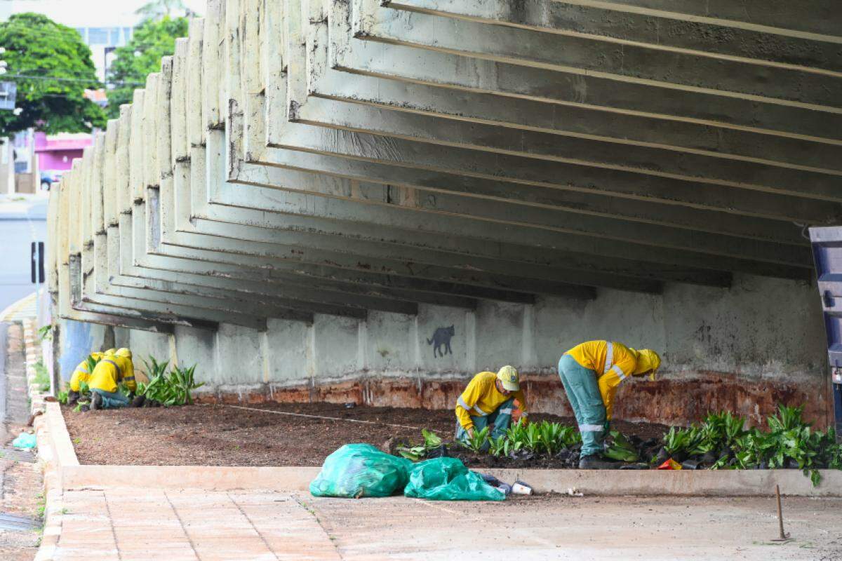 Espaço será humanizado com paisagismo de espécies adaptadas à sombra