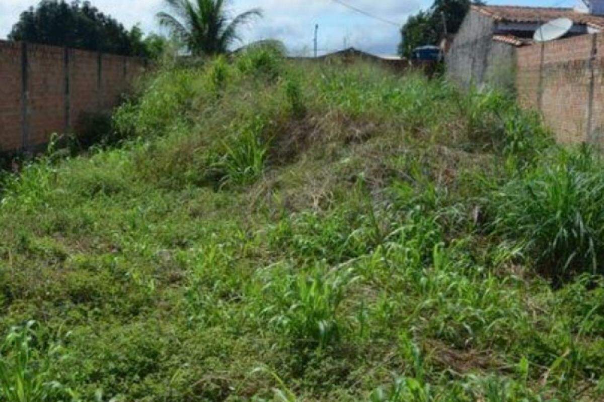 Terrenos com mato alto e sujeiras causam transtornos na população de Franca.