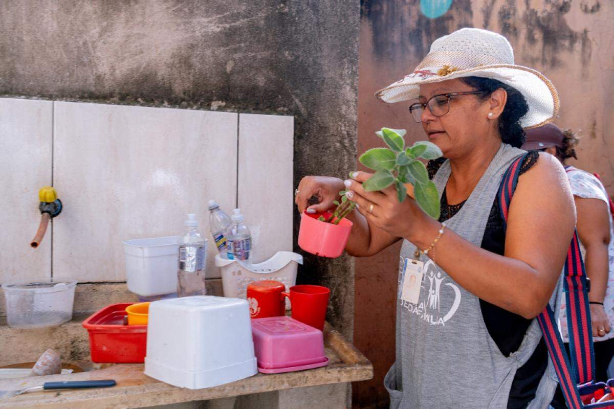 Ações começam às 8h