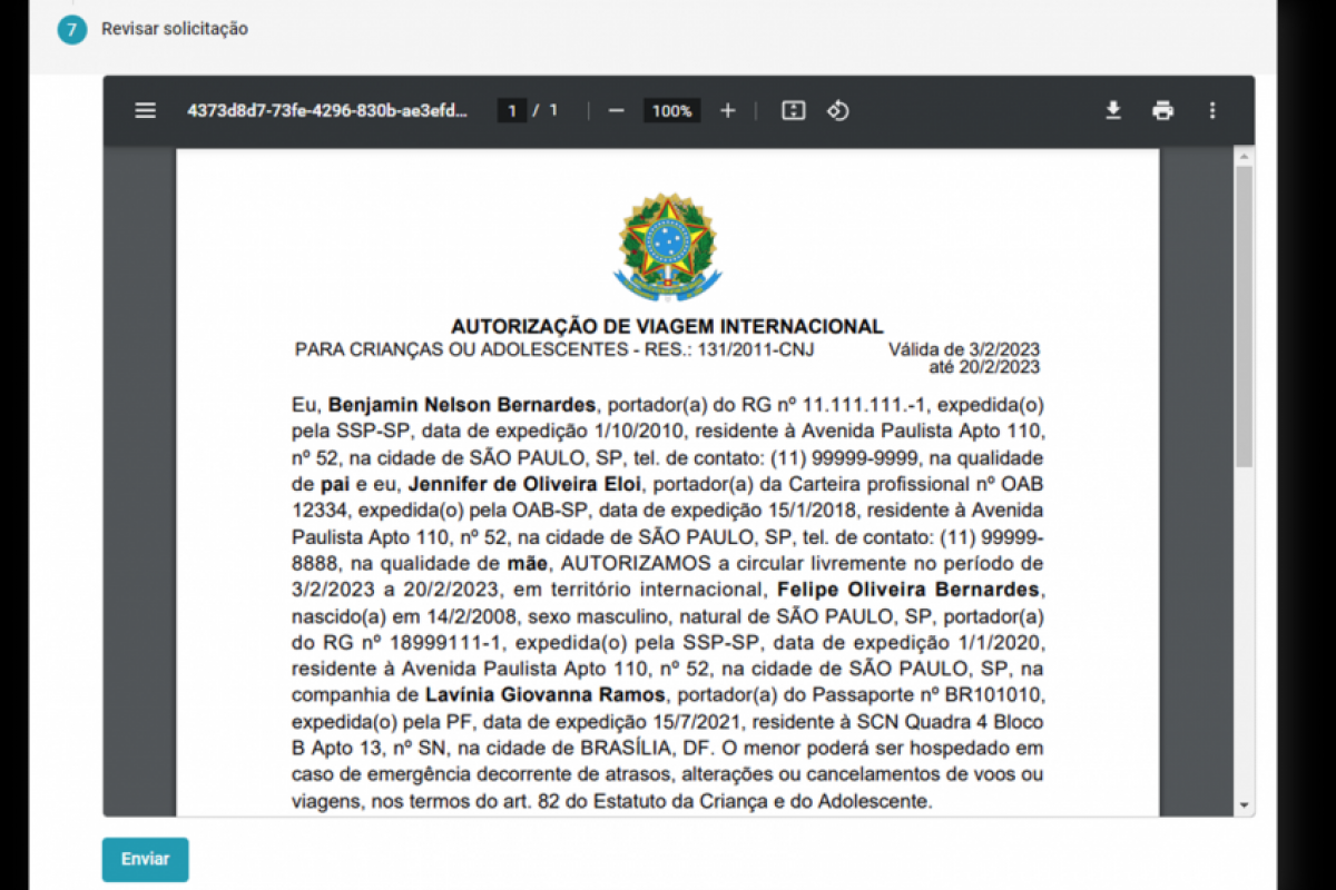 A solicitação do documento é feita pela internet e a apresentação pode acontecer por aplicativo