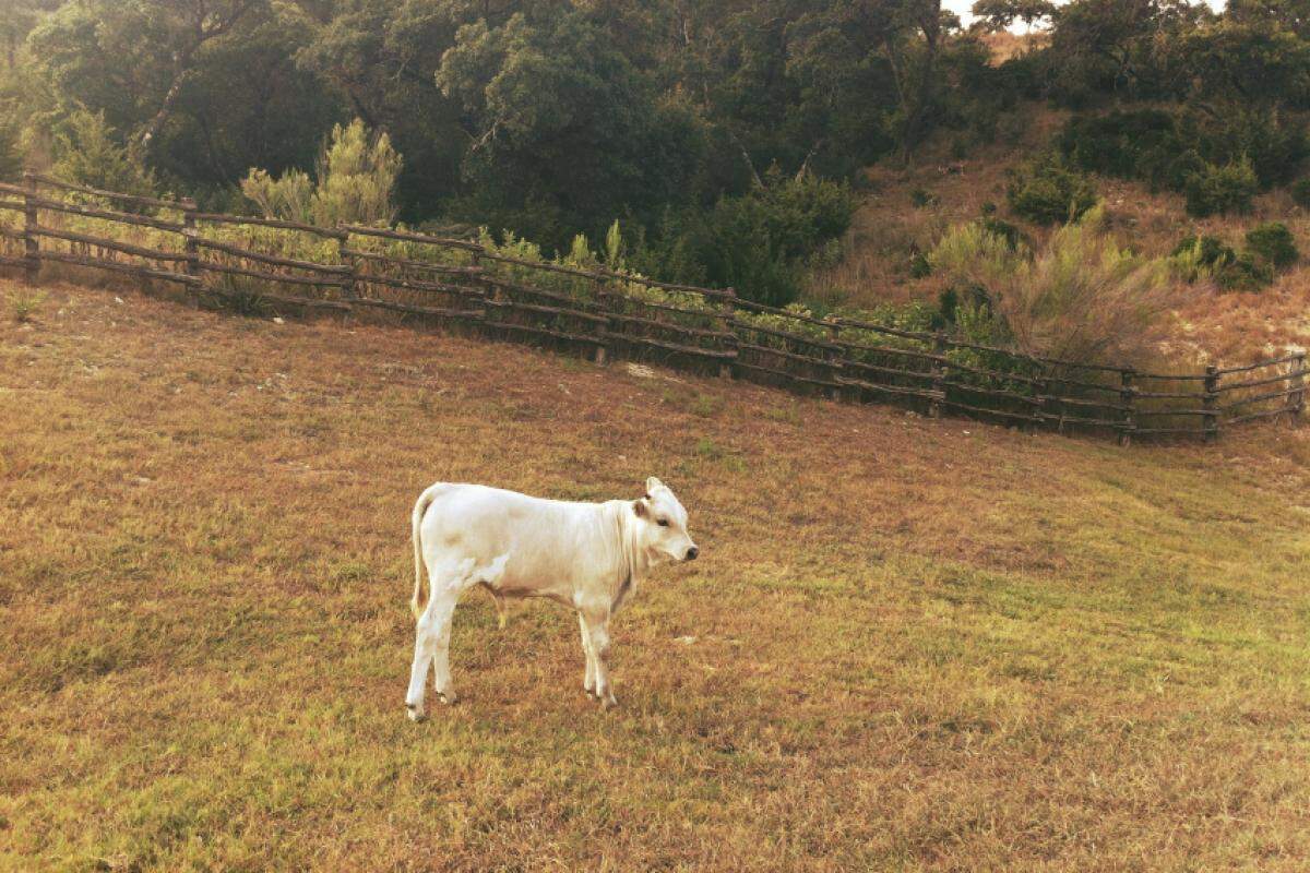 O Samu foi acionado, e os médicos tentaram reanimá-lo por cerca de uma hora, mas o óbito foi constatado no local.