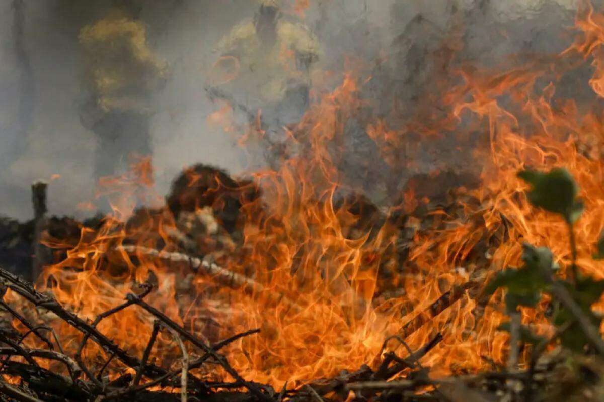 O incêndio devastou 17.772 metros quadrados