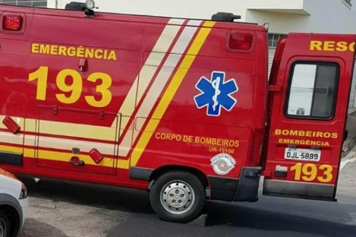 Os bombeiros tiveram dificuldades para resgatá-lo por conta o local