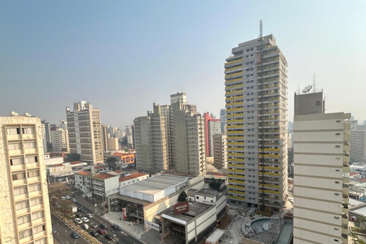 Mercado da região registra crescimento, mas enfrenta desafios para 2025.