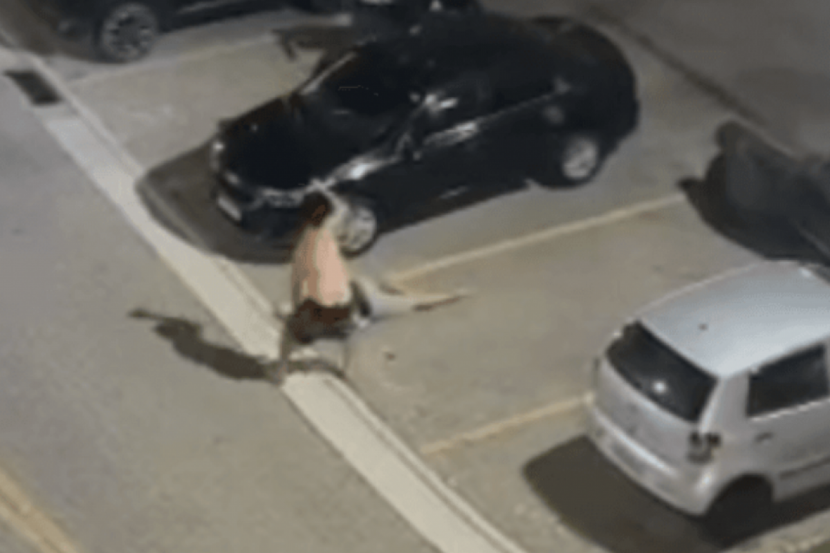 O agressor deu coronhadas e pisou na cabeça de Vinicius.