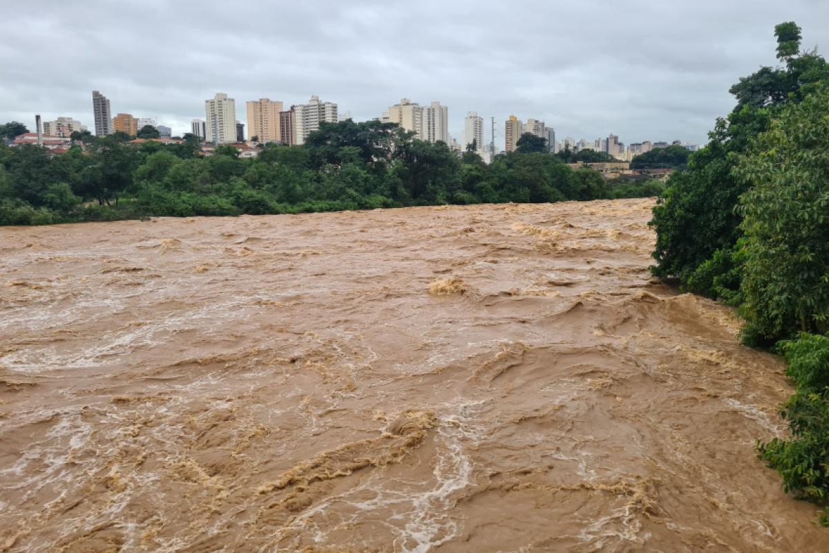 Bacia do Rio Piracicaba apresenta níveis de coliformes fecais 24 vezes superiores ao limite estabelecido pelo Conama.