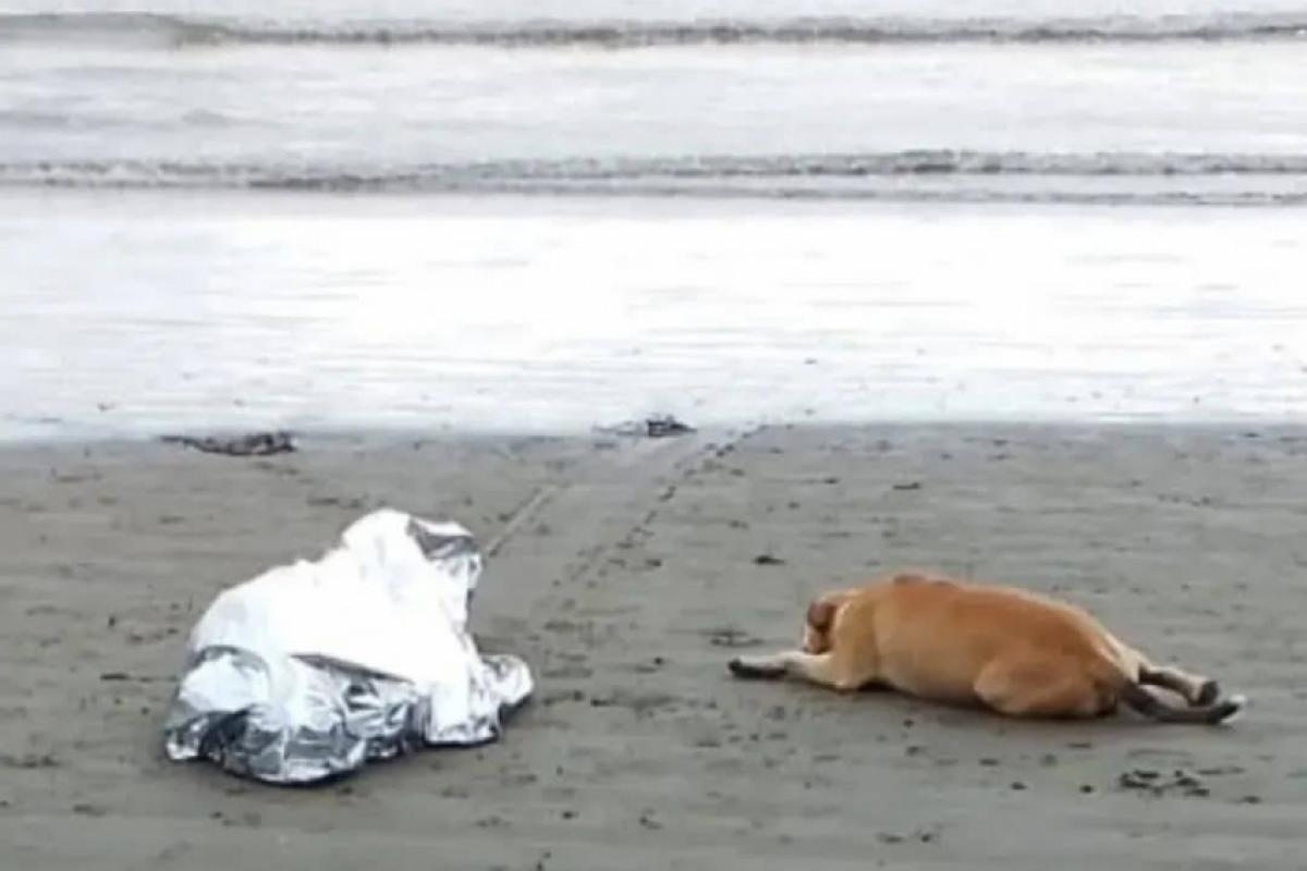 A polícia informou que a vítima era homem em situação de rua.