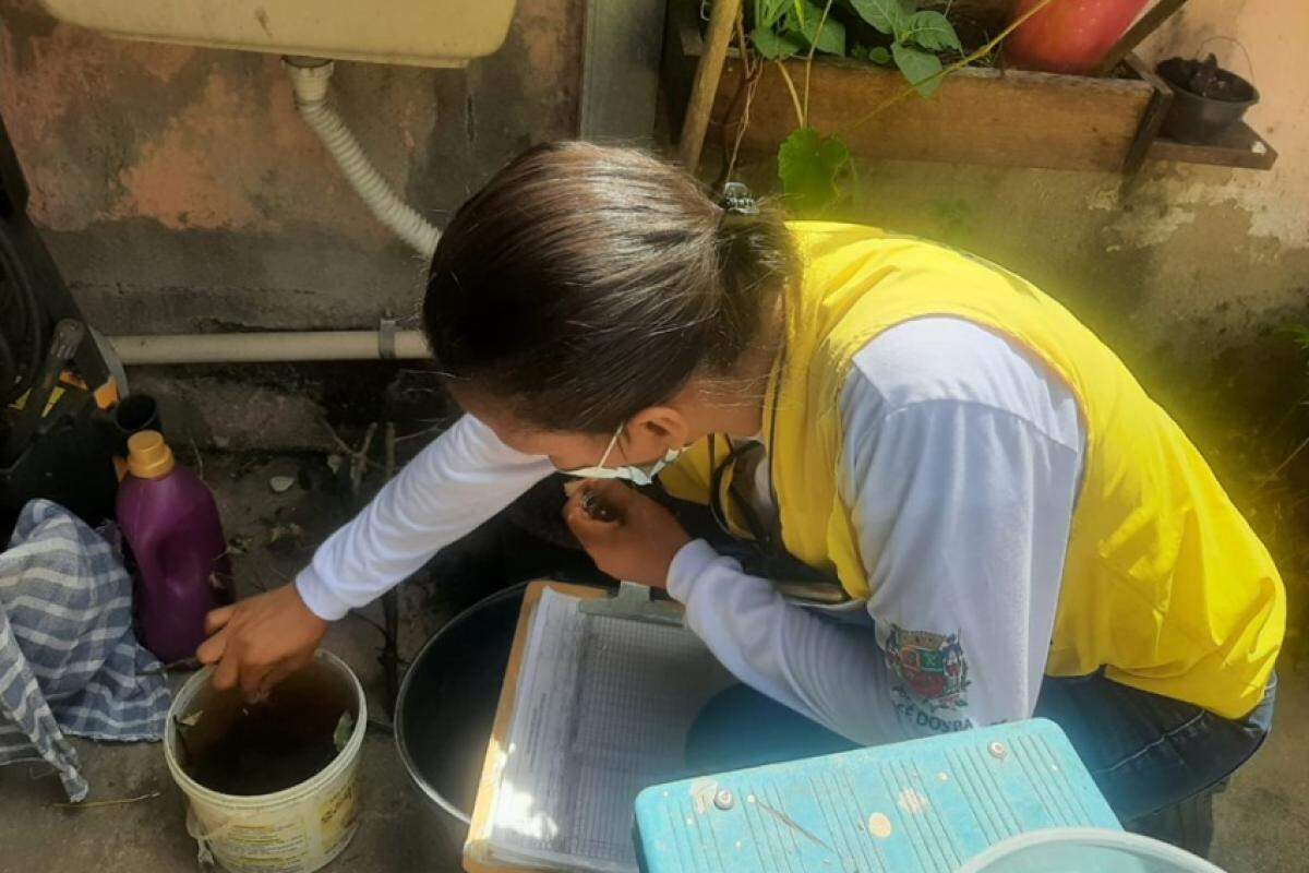 Agente verifica criadouro do mosquito em São José dos Campos
