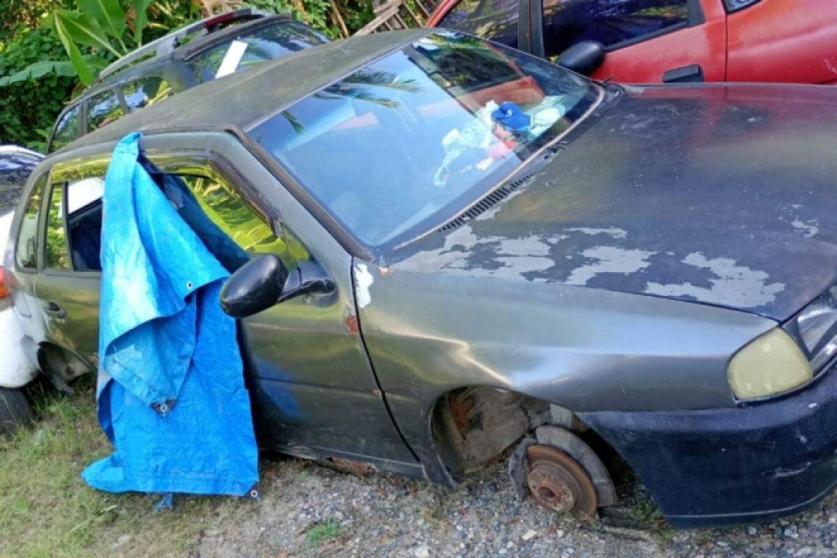 Os donos terão 60 dias para retirar os automóveis