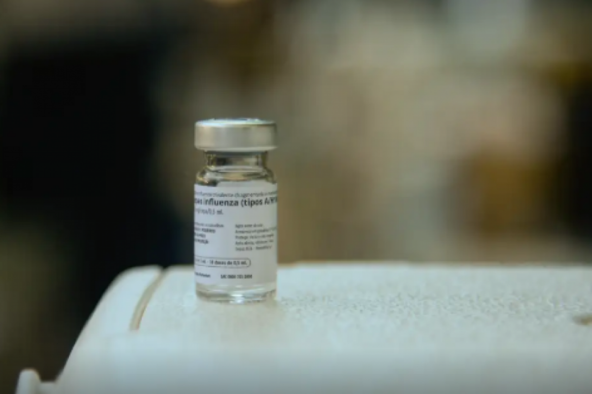 Vacinas específicas contra o vírus da gripe aviária já foram produzidas e existem estoques de emergência em cerca de 20 países