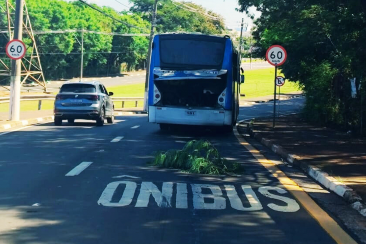 Veículos quebrados, trepidações e até portas abertas durante o trajeto fazem parte da rotina de quem depende do transporte coletivo na cidade