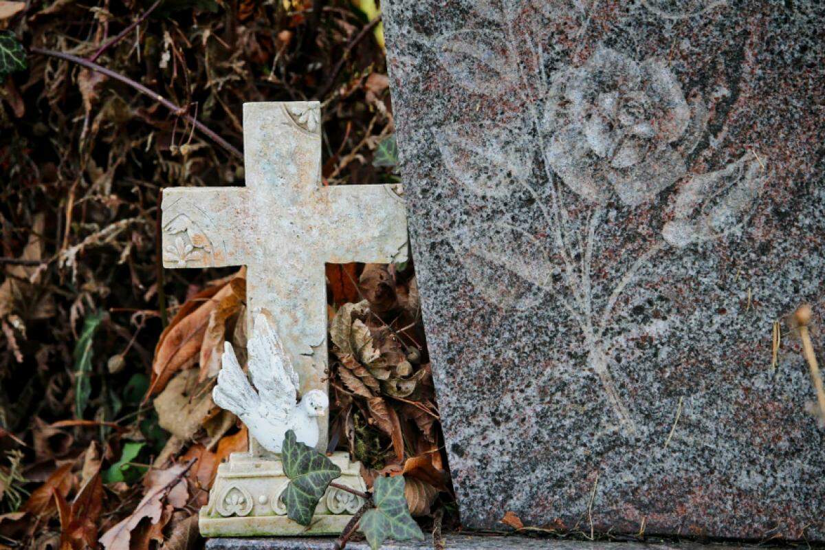 Mulher é dada como morta por médicos e acorda no caixão