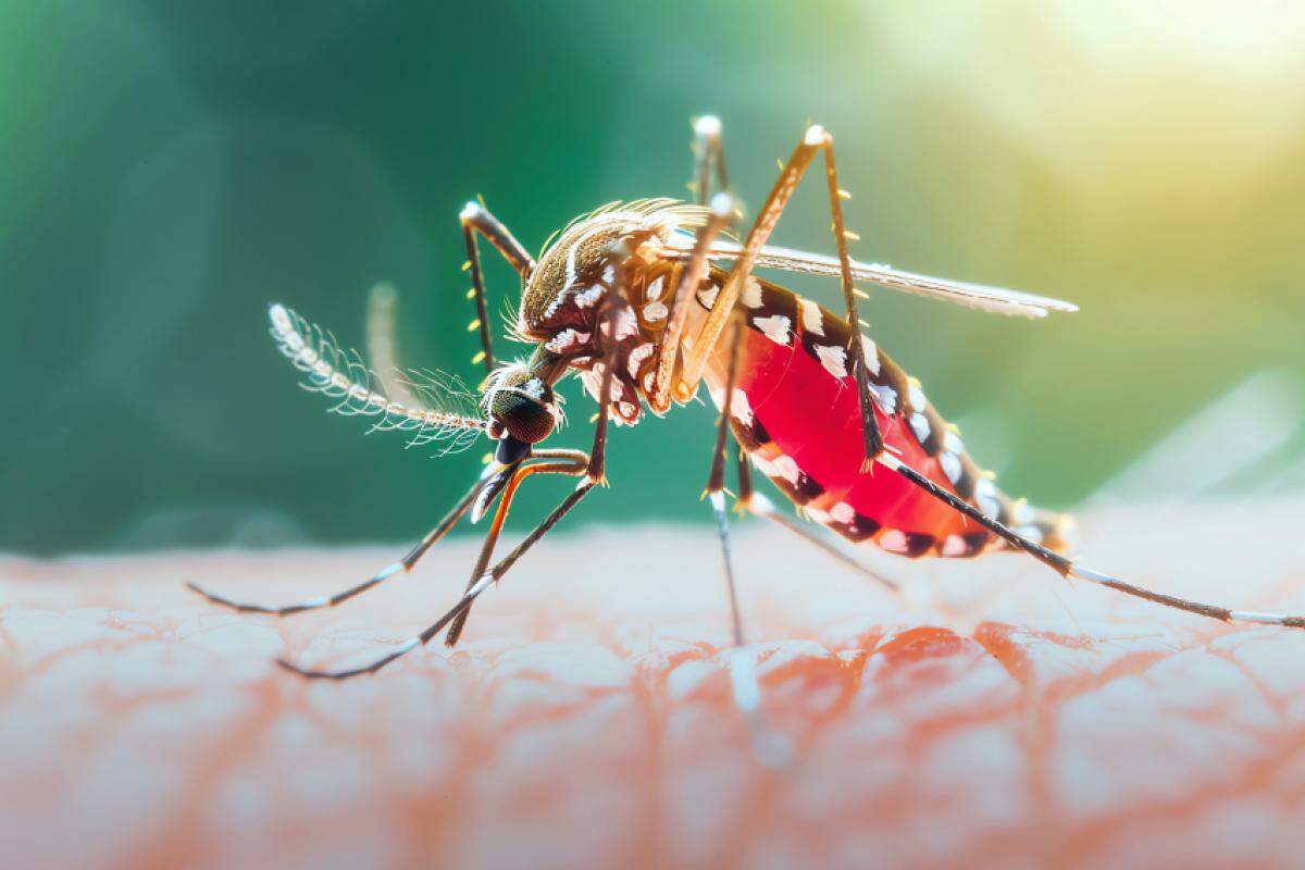Março teve pico de dengue e internações em Piracicaba