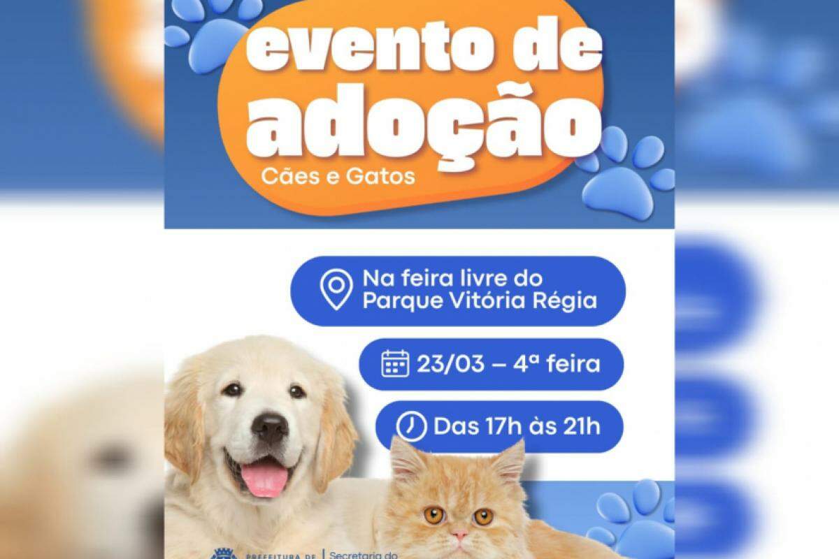 Cartaz divulgado pela Prefeitura de Bauru