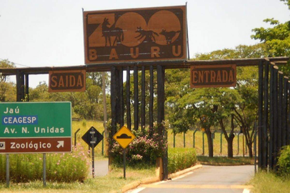 Imagem Notícia