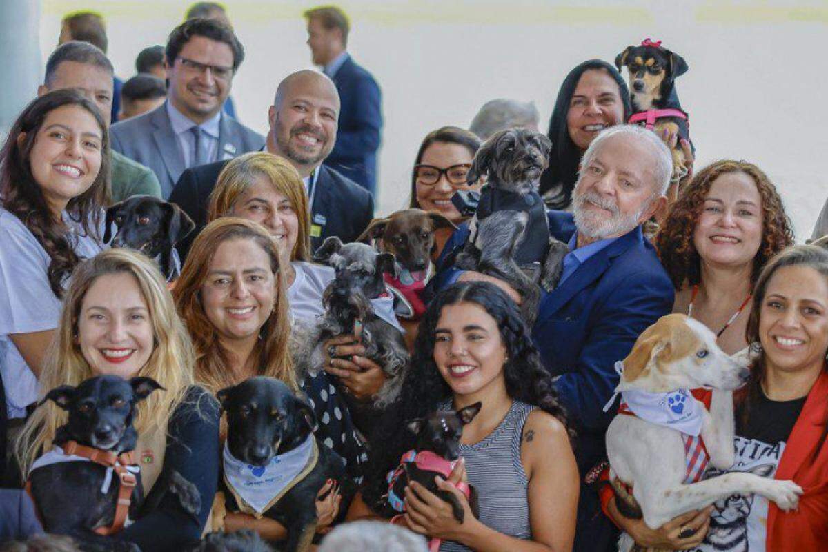 Tutores já podem cadastrar seus pets e emitir o RG Animal