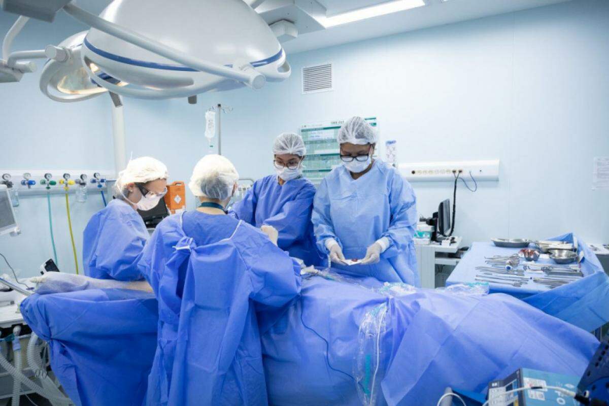 Pâncreas foi o órgão mais transplantado, mas coração, rim, pulmão e fígado também tiveram crescimento expressivo no estado