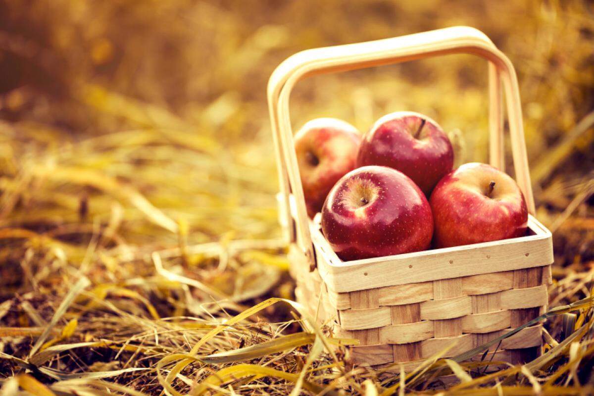 Inúmeros benefícios que uma simples maçã pode oferecer para a sua saúde e bem-estar!