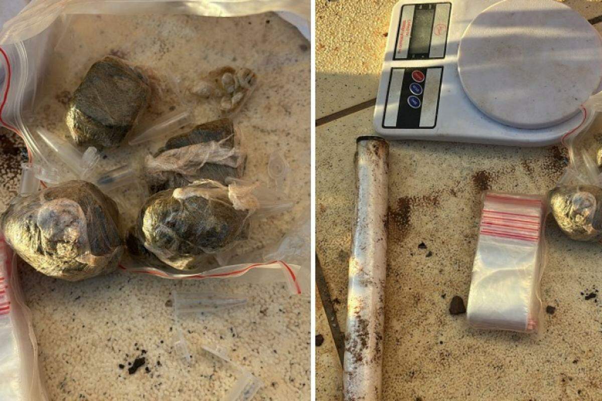 Drogas apreendidas pela polícia