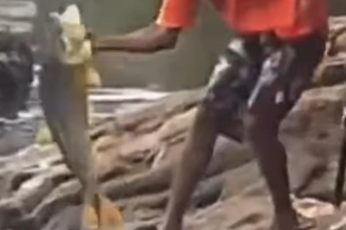 Pescador captura dourado gigante em rio 