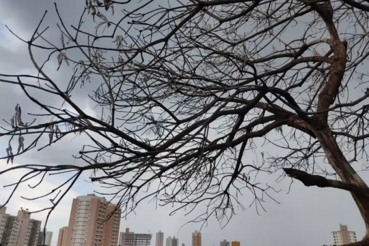 Previsão do tempo indica clima ameno em Piracicaba durante o feriado; veja como serão os dias de folga