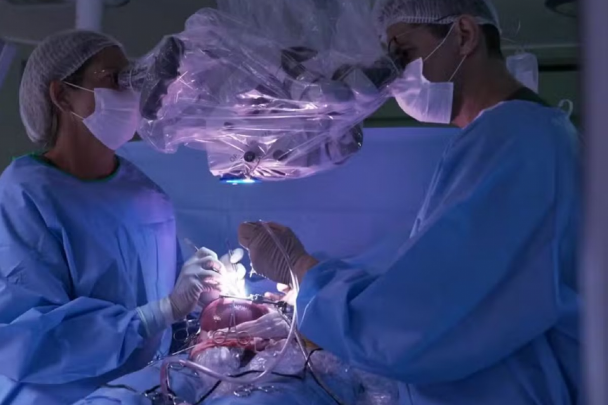 Útero de grávida foi removido para realizar cirurgia em bebê ainda no ventre