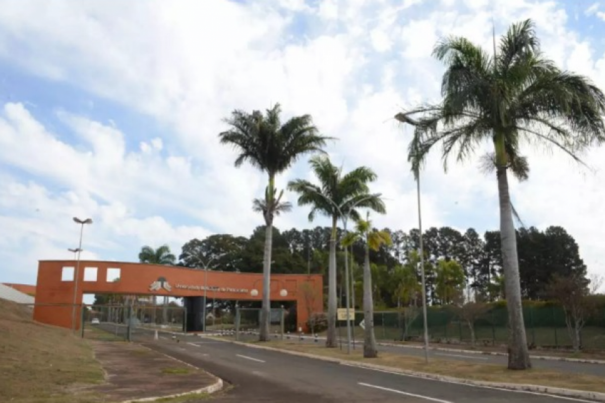 Deputada foi a Brasília para visitar ministérios; demanda foi entregue ao secretário executivo do Ministério da Educação