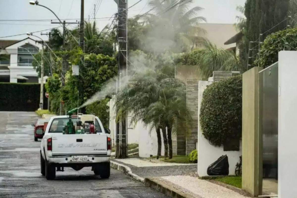 Cidade soma oito mortes e mais de 9,6 mil casos confirmados da doença em 2025