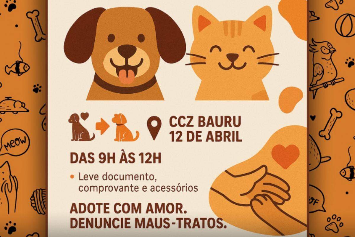 Imagem Notícia