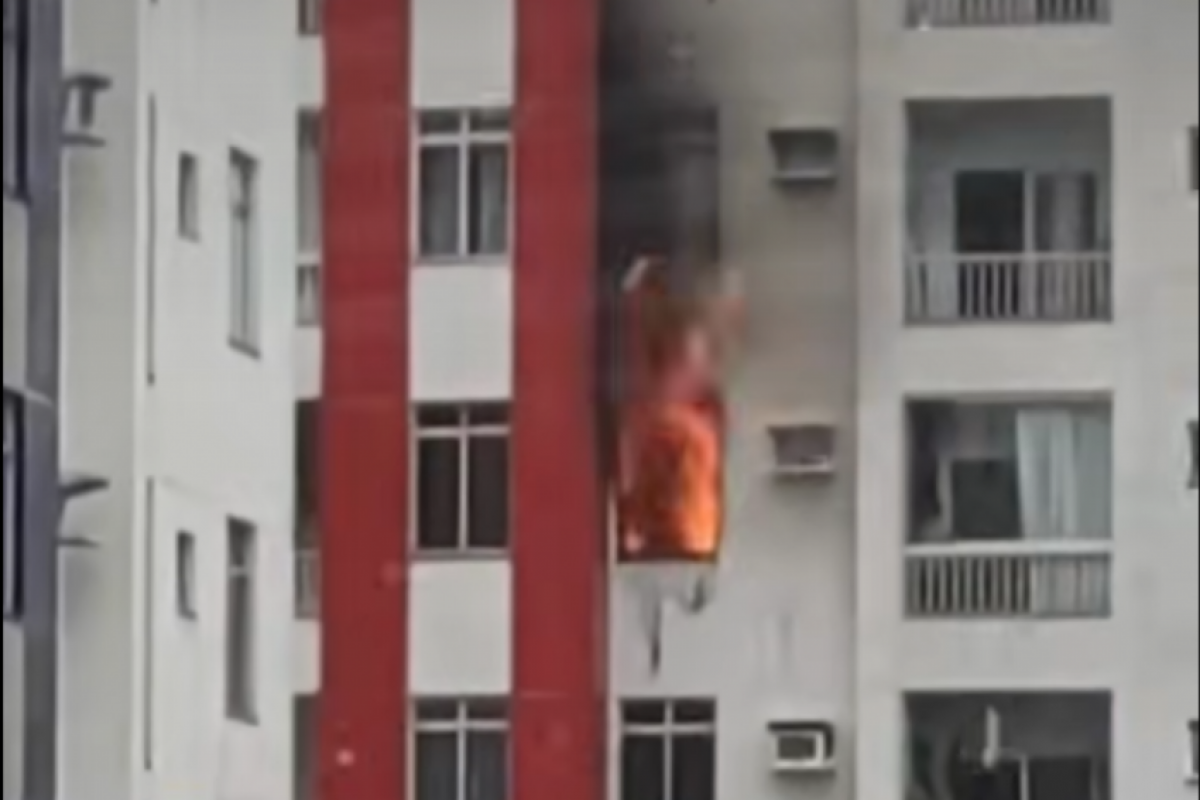 Nenhum dos tutores estava em casa no momento em que o fogo começou. 